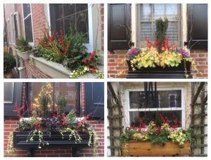 Window Box Designs for Winter - Earthly Delights Urban Gardens - Philadelphia PA