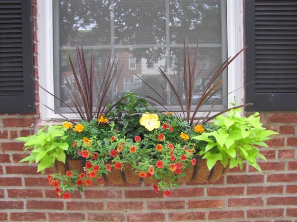 Earthly Delights Garden Design Philadelphia - Window Box Design and Installation