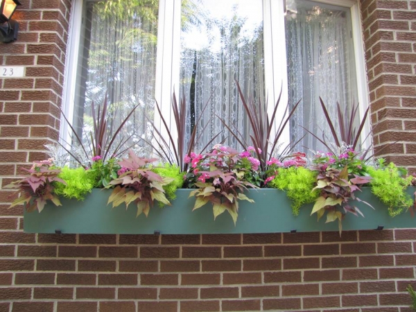 Earthly Delights Garden Design Philadelphia - Window Box Design and Installation