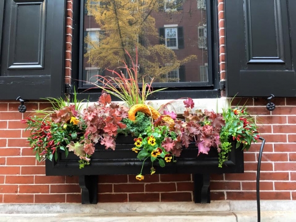 Earthly Delights Garden Design Philadelphia - Window Box Design and Installation