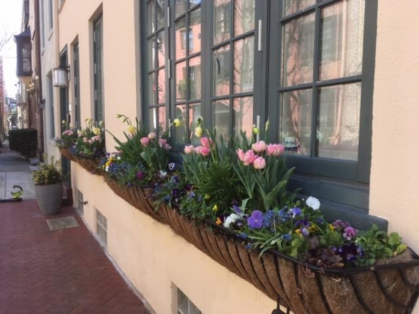 Earthly Delights Garden Design Philadelphia - Window Box Design and Installation