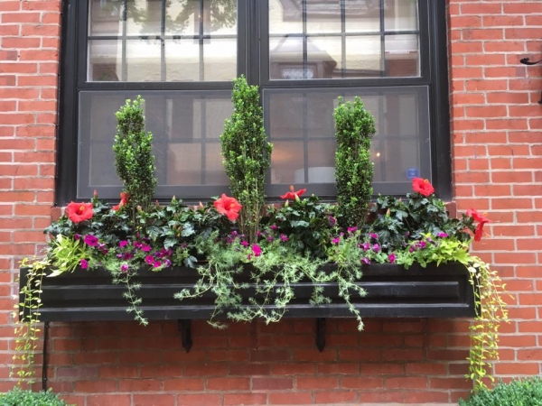 Earthly Delights Garden Design Philadelphia - Window Box Design and Installation