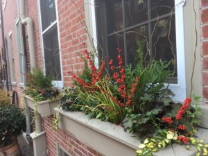 Earthly Delights Garden Design Philadelphia - Winter Window Box Design and Installation