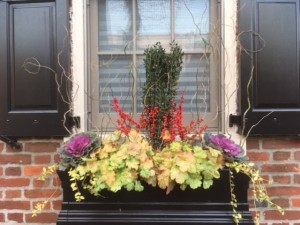 Earthly Delights Garden Design Philadelphia - Winter Window Box Design and Installation