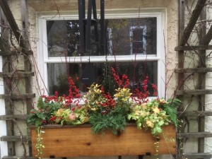 Earthly Delights Garden Design Philadelphia - Winter Window Box Design and Installation